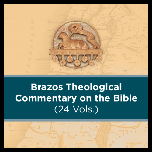 Brazos Theological Commentary on the Bible | BTC (24 vols.)
