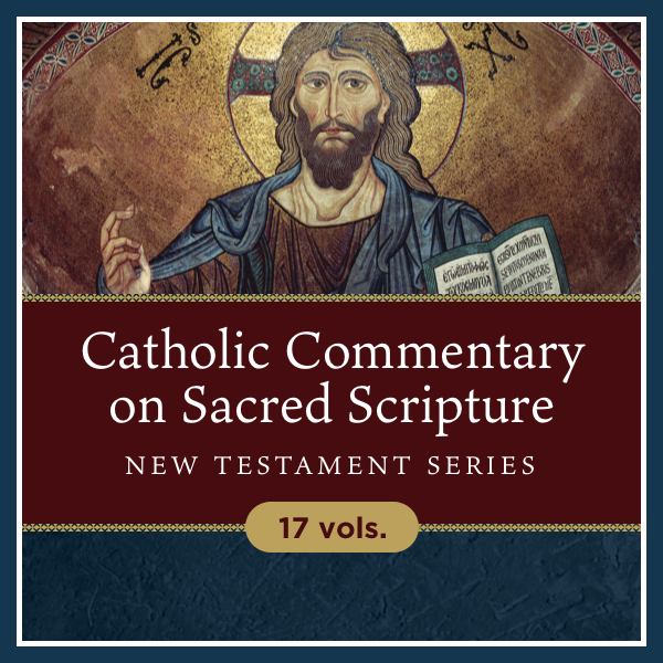 Catholic Commentary on Sacred Scripture | CCSS: New Testament Series ...