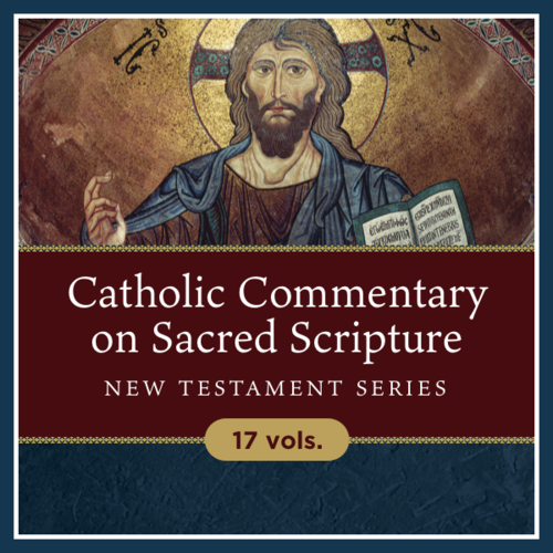 Catholic Commentary on Sacred Scripture | CCSS: New Testament (17 vols.)