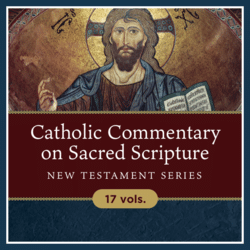 Catholic Commentary on Sacred Scripture | CCSS: New Testament Series (17 vols.)