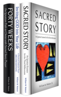 Sacred Story Institute Ignatian Spirituality Collection (3 vols.)
