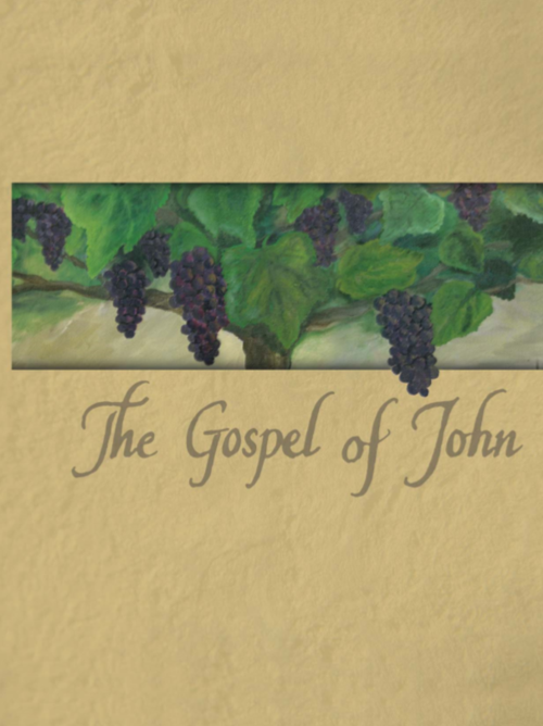 Explorer's Bible Study on the Gospel of John