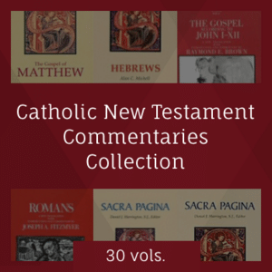 Catholic New Testament Commentaries Collection (30 vols.)