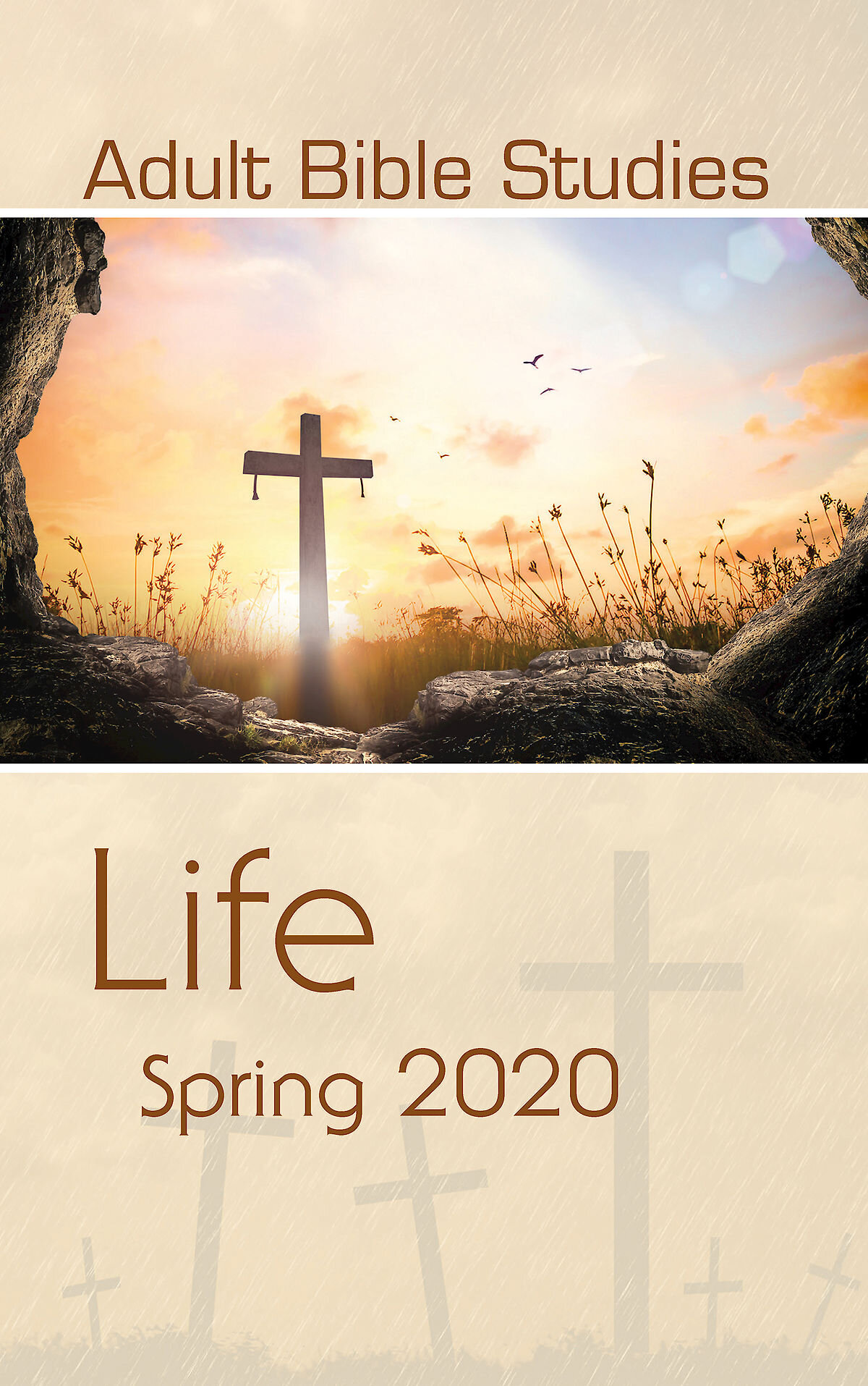 Adult Bible Studies Spring 2020 Student