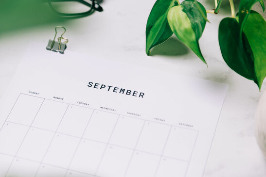 Printed September Calendar Behind Greenery