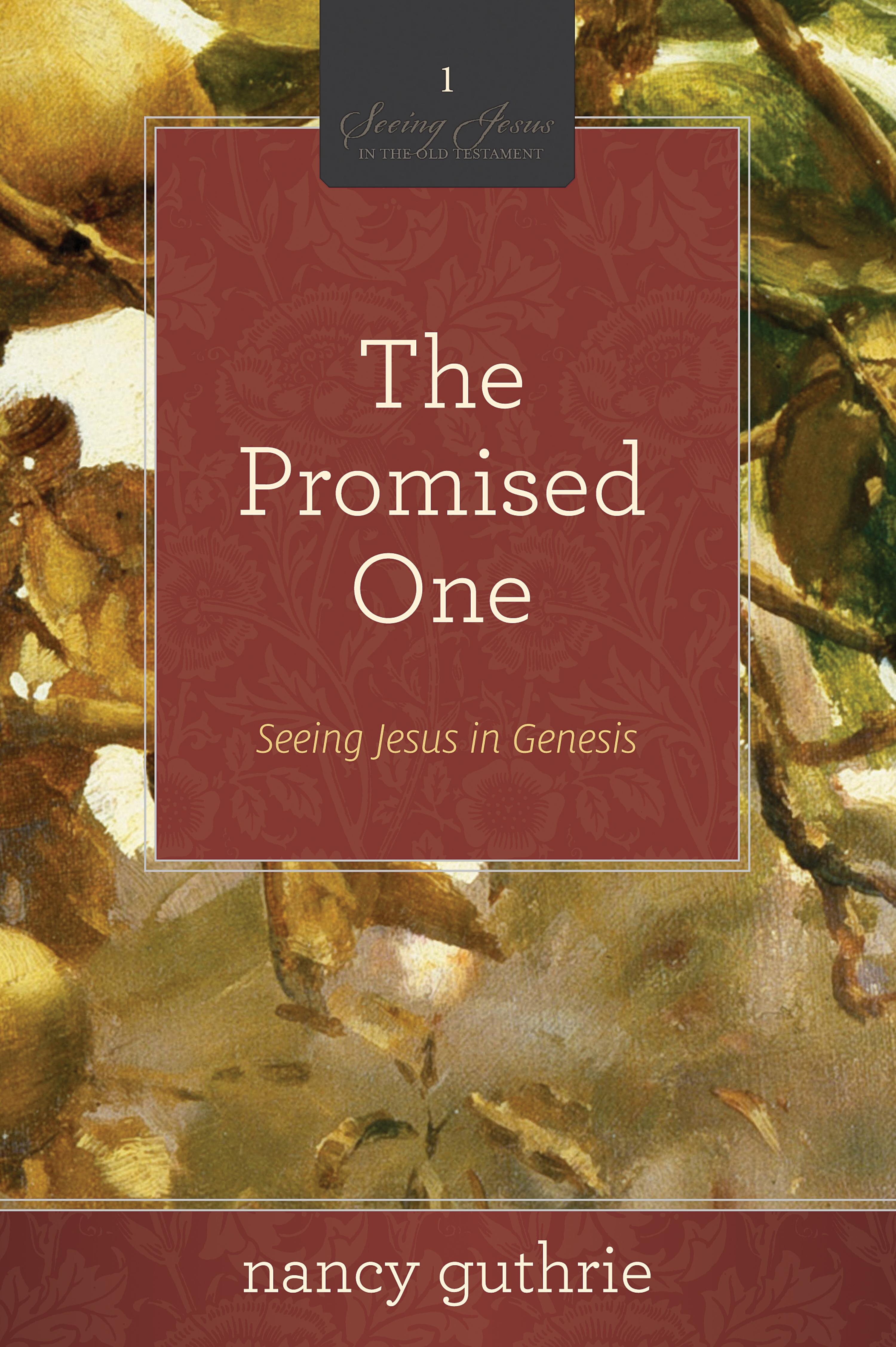 The Promised One: Seeing Jesus in Genesis