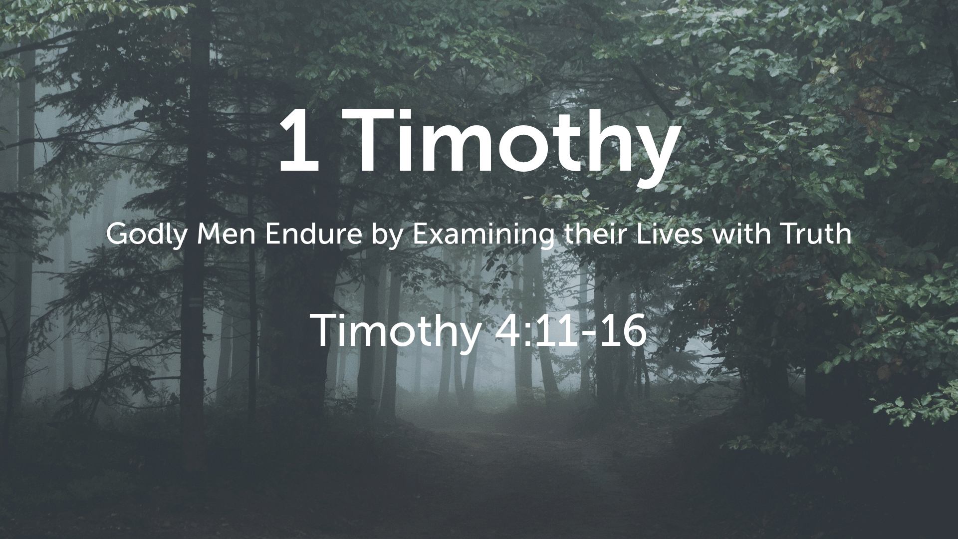 1 Timothy 4:11-16 Questions
