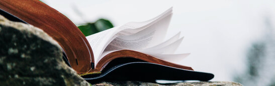 Bible Pages Blowing in the Wind