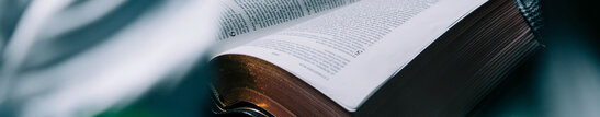 Open Bible with Leaves in the Foreground
