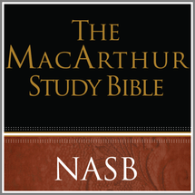 The MacArthur Study Bible NASB (notes only)