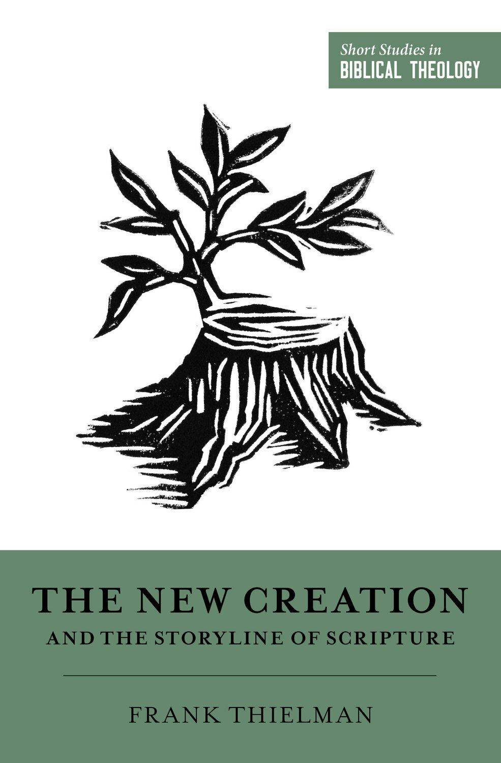 The New Creation and the Storyline of Scripture (Short Studies in Biblical Theology)