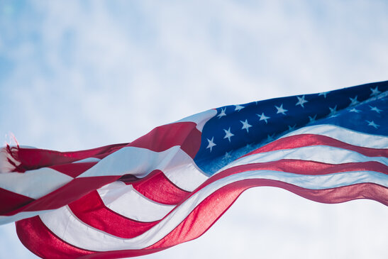 The American Flag