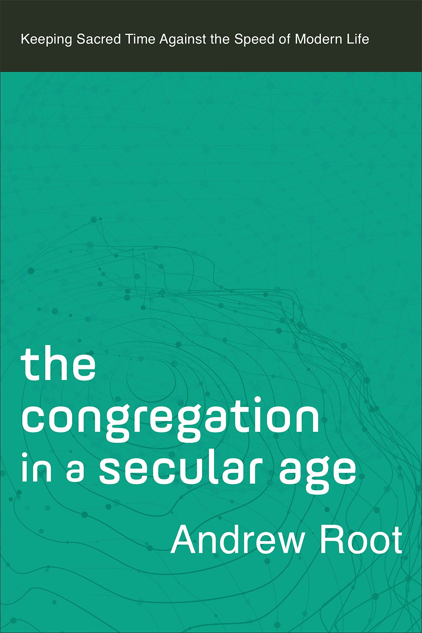 The Congregation in a Secular Age: Keeping Sacred Time against the Speed of Modern Life (Ministry in a Secular Age)
