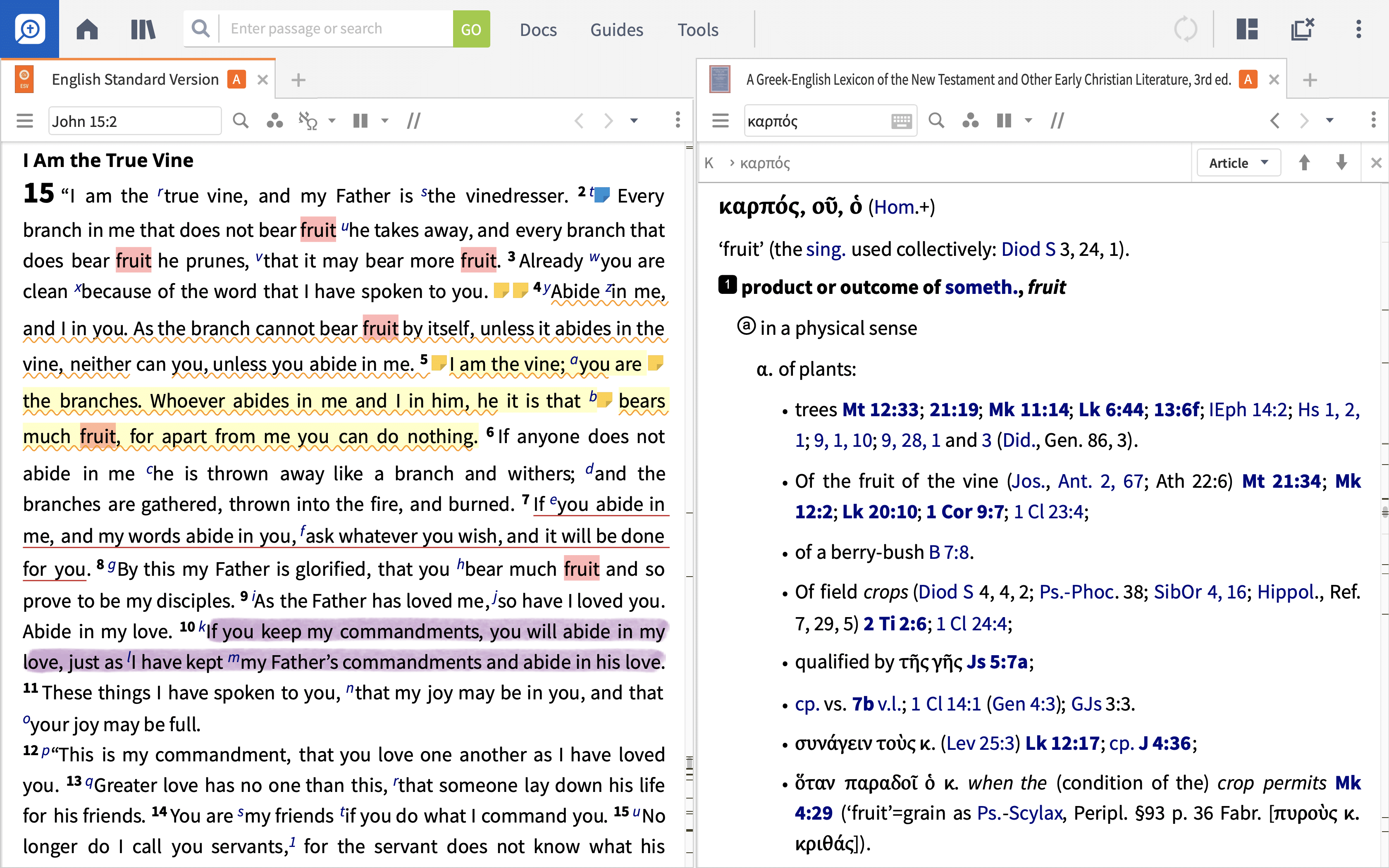 Logos desktop software is open on a computer. There are two panes open: the one on the left has the English Standard Version open to John 15:2. The pane on the right side is open to A Greek-English Lexicon of the New Testament and Other Early Christian Literature, 3rd ed. They are studying the word ’fruit.’