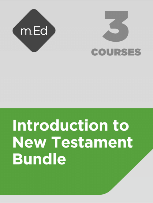 Introduction to New Testament Bundle (3 courses)