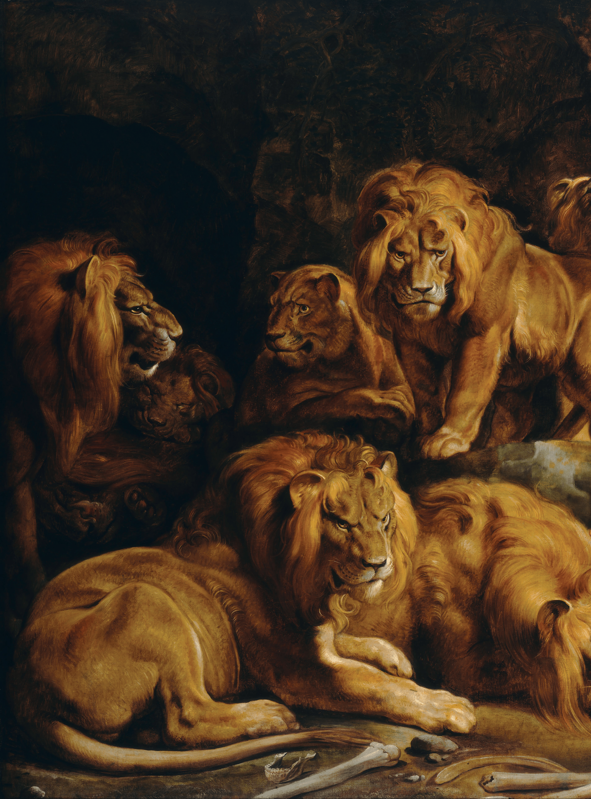 Lions