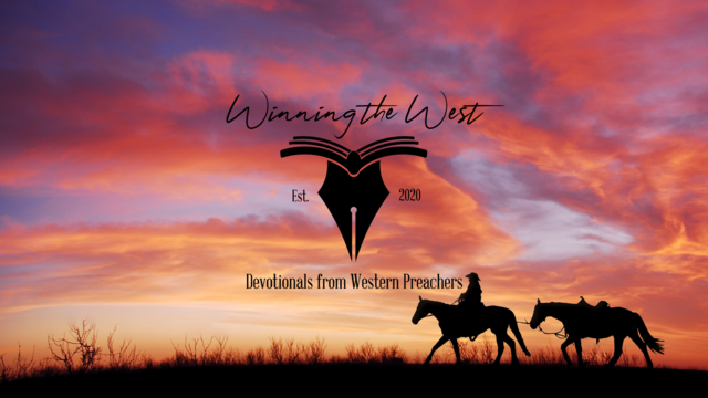 Winningthewestdt