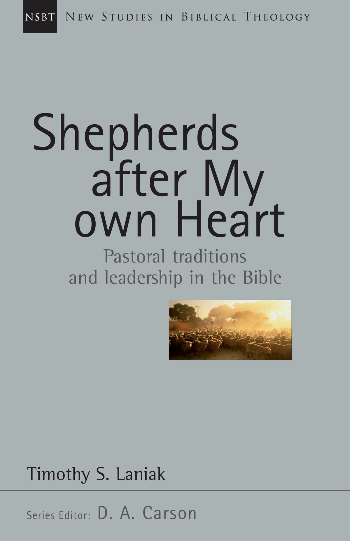 Shepherds After My Own Heart: Pastoral Traditions and Leadership in the Bible (New Studies in Biblical Theology, vol. 20 | NSBT)