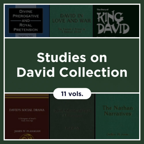 Studies on David Collection (11 vols.)