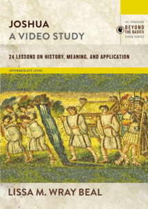 Joshua, A Video Study: 24 Lessons on History, Meaning, and Application (Beyond the Basics Video Series)