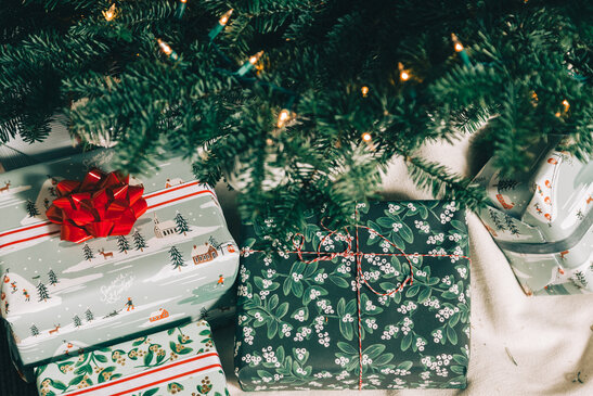 Christmas Gifts Under the Tree