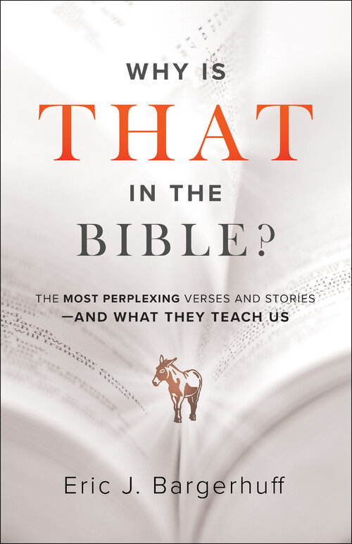 Why Is That in the Bible? The Most Perplexing Verses and Stories—and What They Teach Us