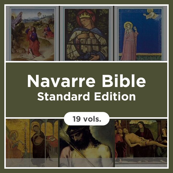 Navarre Bible, Standard Edition (19 vols.)