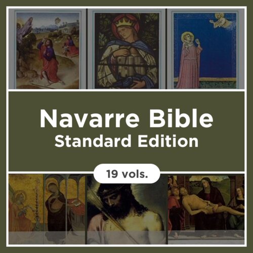 Navarre Bible, Standard Edition (19 vols.)