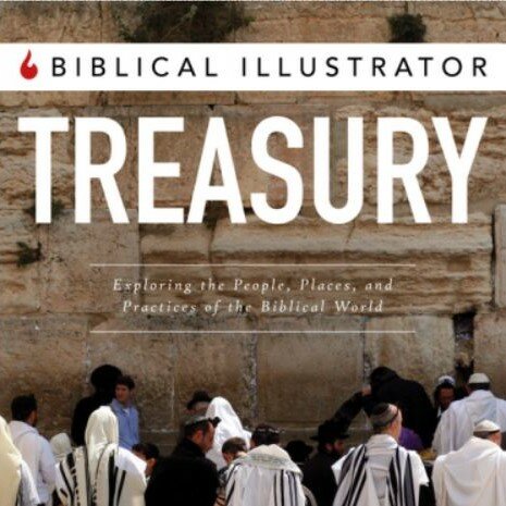 Biblical Illustrator Treasury (23 vols.)