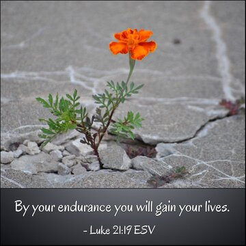 Photogrid 1614452022851