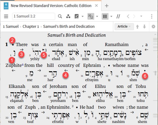 P8-5 Read Interlinear