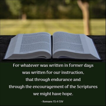 Photogrid 1614454357746