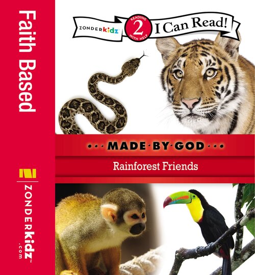 Rainforest Friends: Level 2