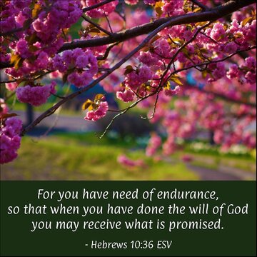 Photogrid 1614456070156