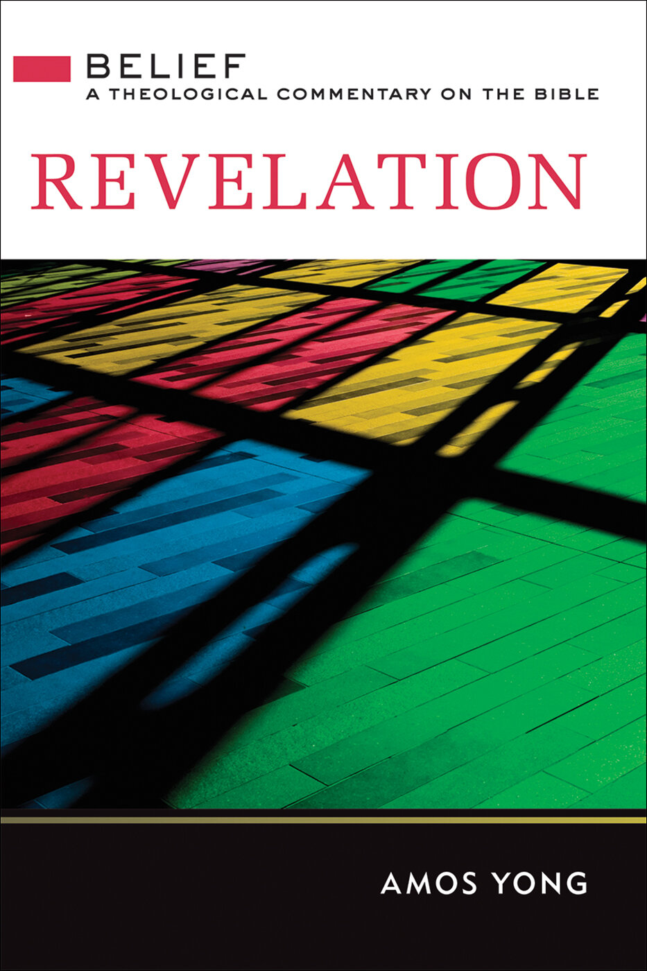 Revelation (Belief: A Theological Commentary on the Bible)