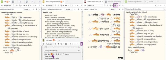 94B2 Bible Link Set Multiview