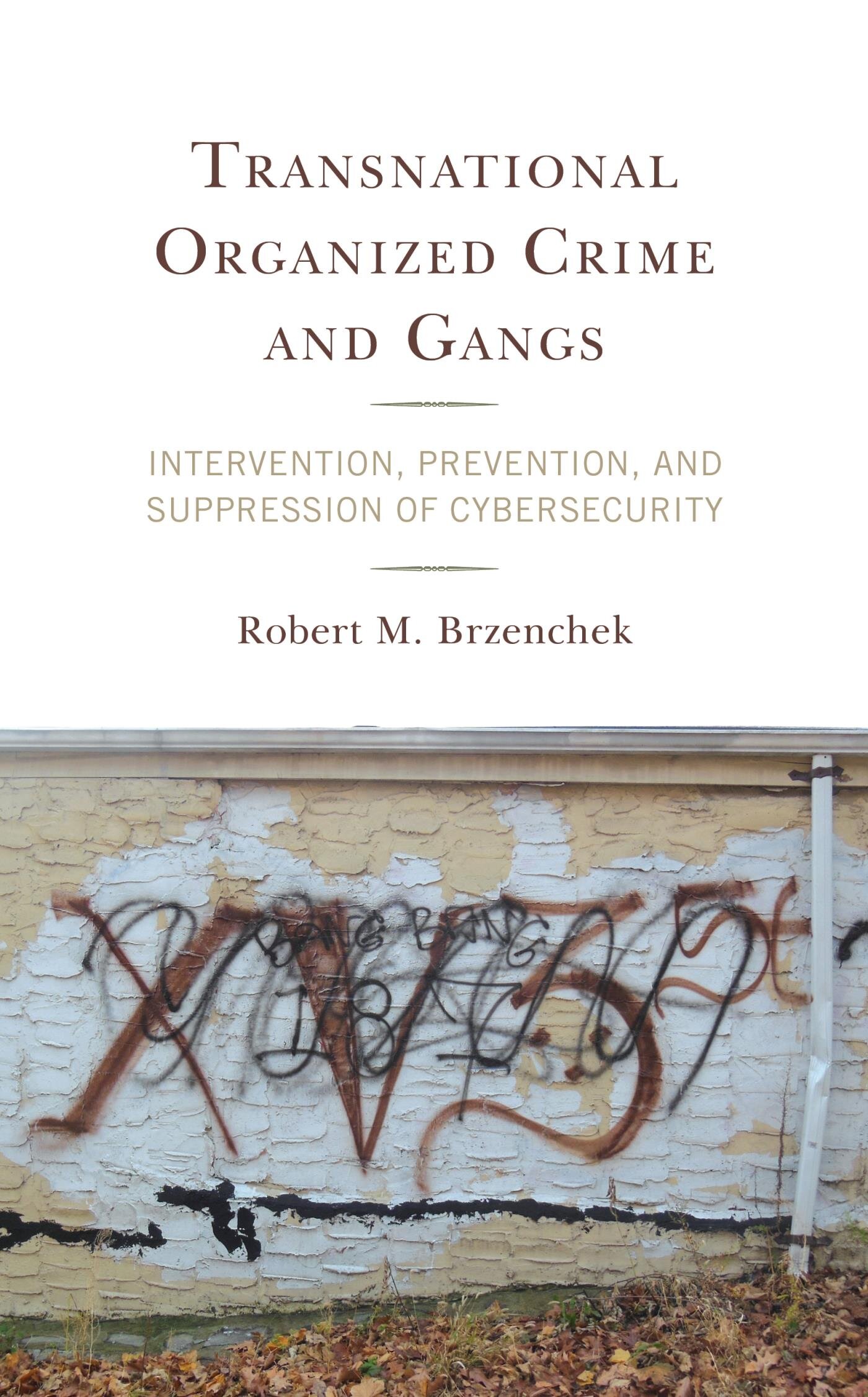 Transnational Organized Crime And Gangs: Intervention, Prevention, And ...