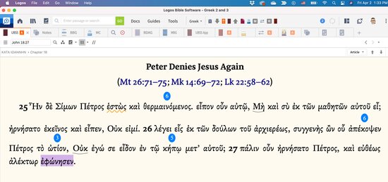 Pericope With Highlights John 18 25 27