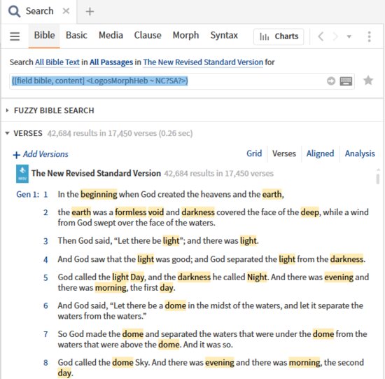 P8-8 Bible Search