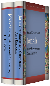 Illuminations Commentary Series | ICS (2 vols.)