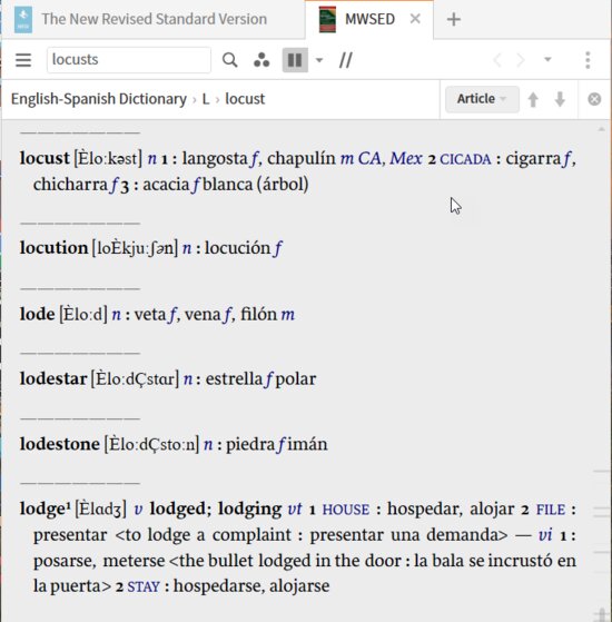 P4-9 Surface Lookup