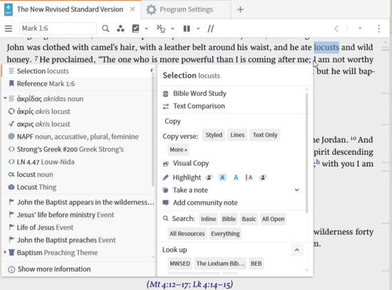 P4-7 Lemma Context Menu