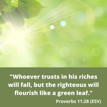 Whoever trusts in his riches will fall, but the righteous will flourish like a green leaf.