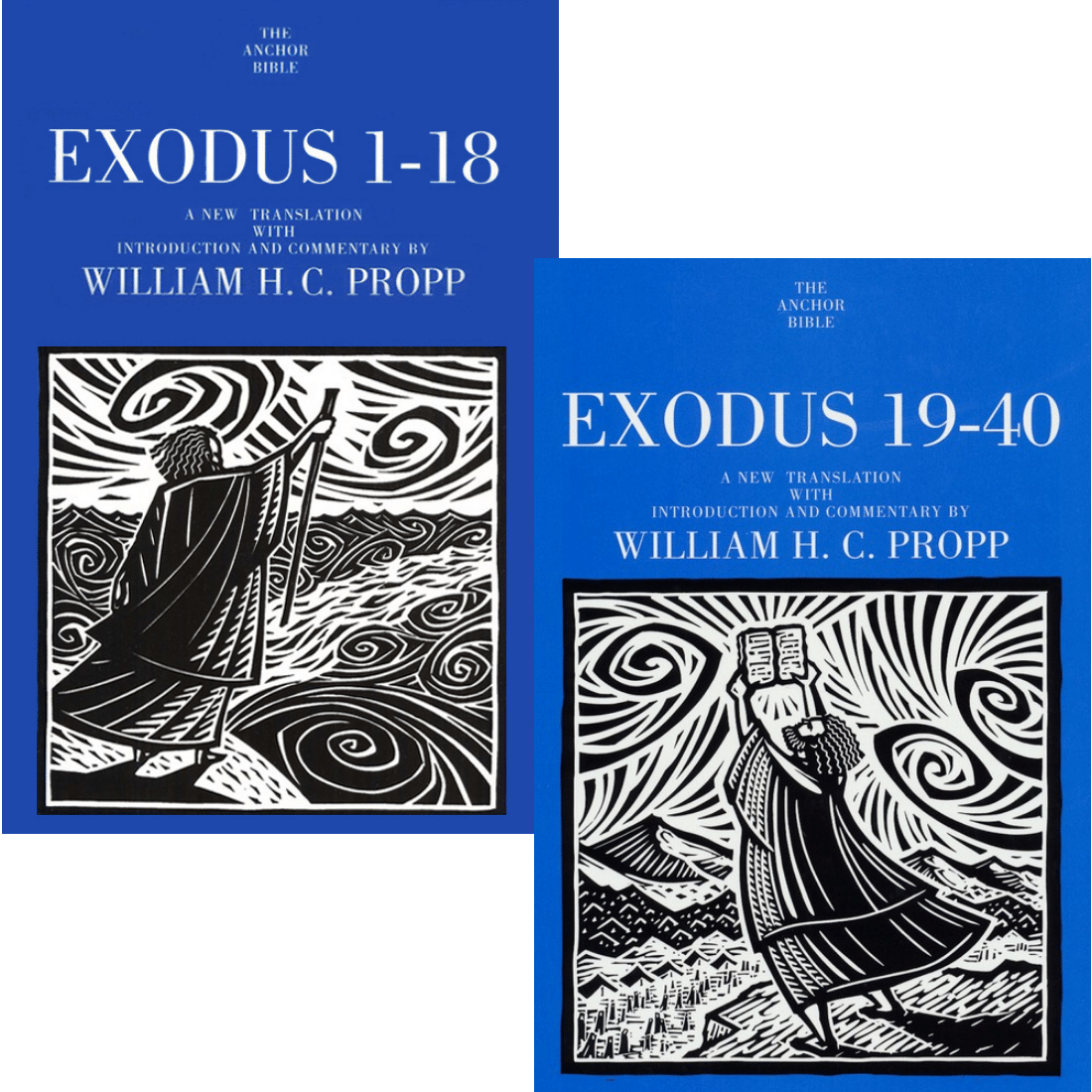 Exodus 2 Vols Anchor Yale Bible Commentary Aybc Verbum 8920