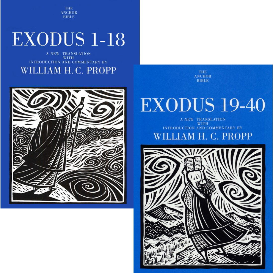 Exodus, 2 vols. (Anchor Yale Bible Commentary | AYBC)