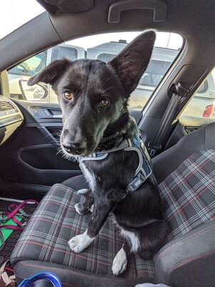 PXL 20210615 134038934