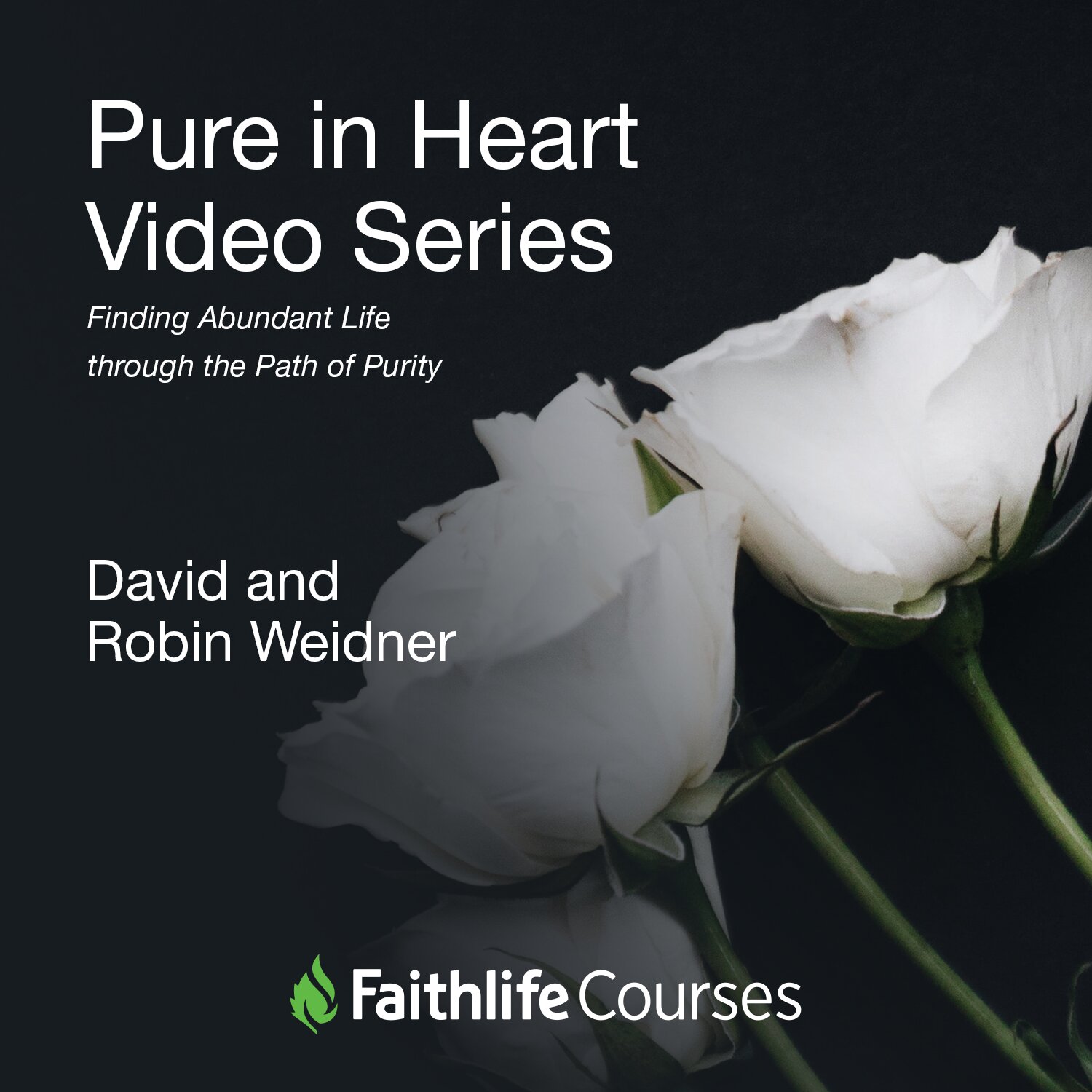 Pure in Heart Video Series: Finding Abundant Life through the Path of Purity