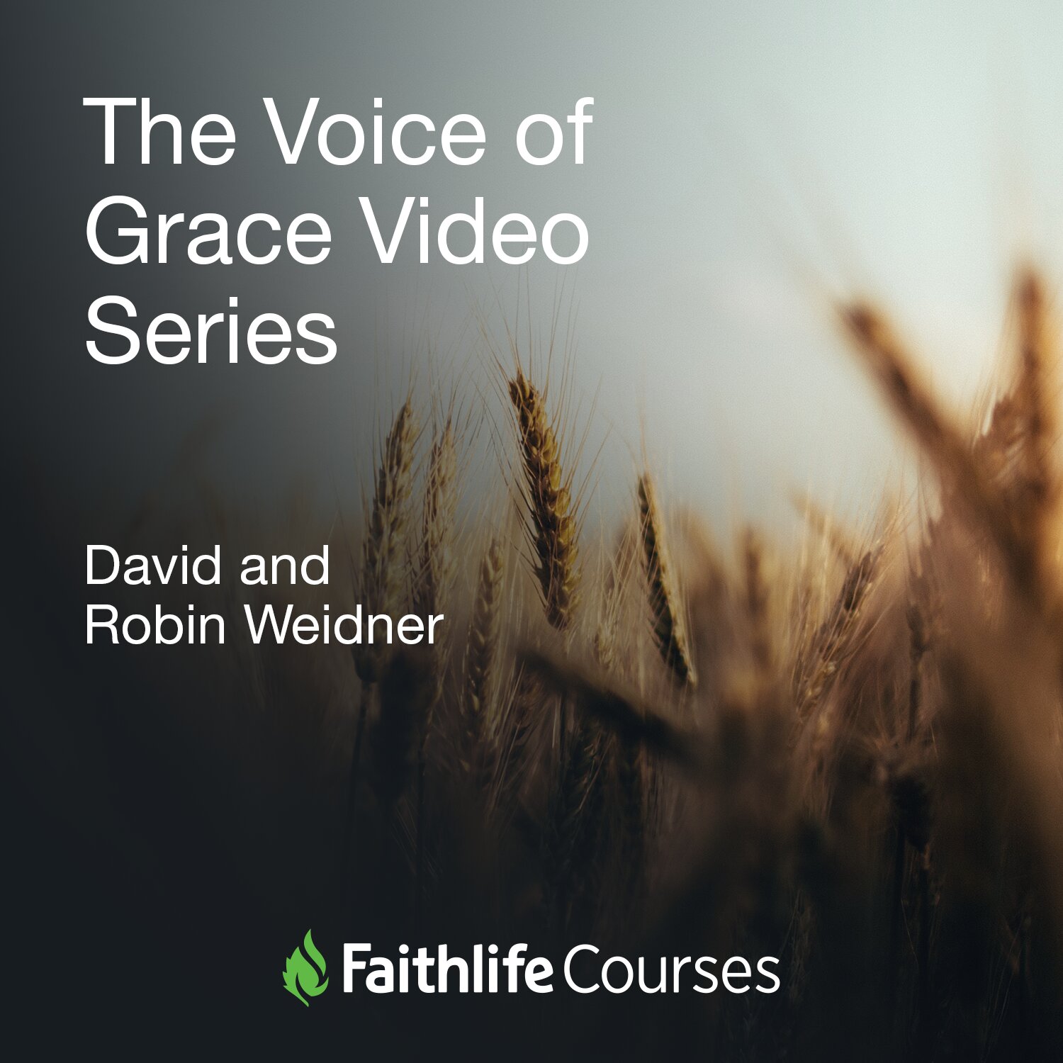 The Voice of Grace Video Series