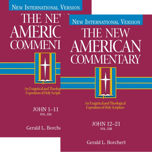 John, 2 vols. (The New American Commentary | NAC)