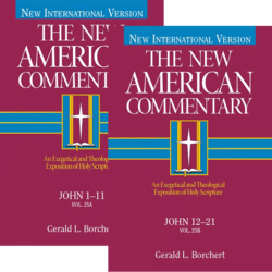 John, 2 vols. (The New American Commentary | NAC)